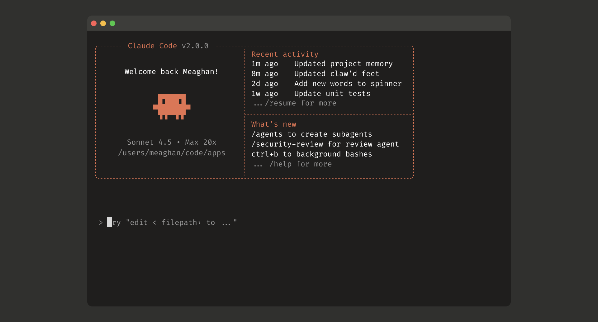 Claude Code terminal interface